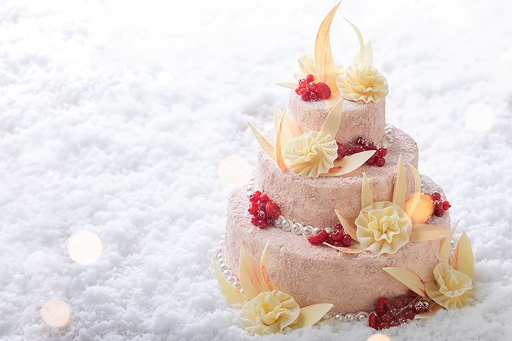 GINZA SIX店限定商品プレミアムクリスマスケーキ