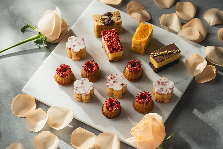 スプリングコレクション