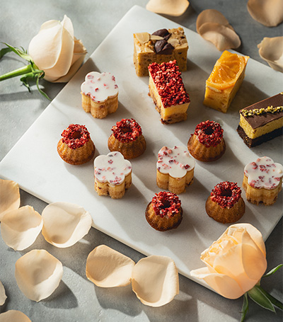 2026年スプリングコレクションのご案内